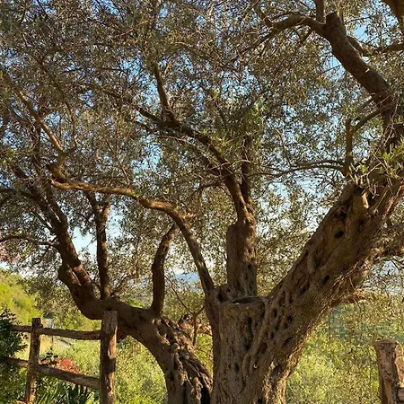 Βίλα Bujtina Salko Mucaj