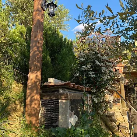 Villa Bujtina Salko *