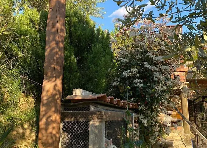 Villa Bujtina Salko *