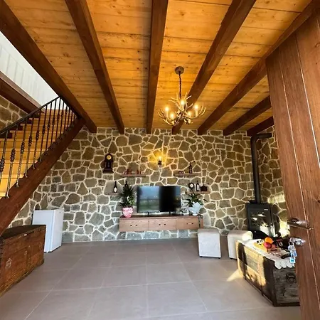 Bujtina Salko 别墅