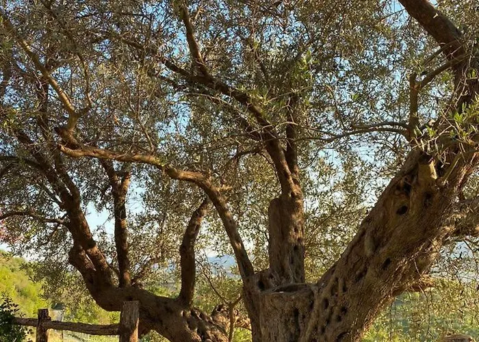 Villa Bujtina Salko Mucaj